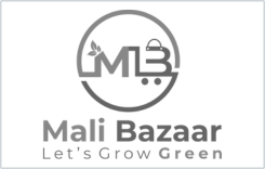 28-Mali-Bazaar-landscaping-company